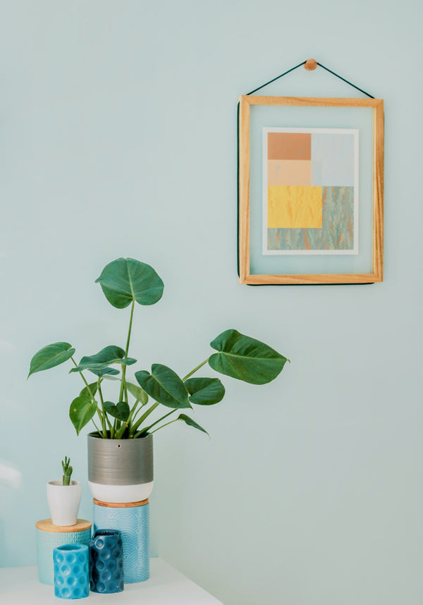 Picture on a green wall and desk with a plant pot in front - simple energy efficient tips to make your home energy efficient